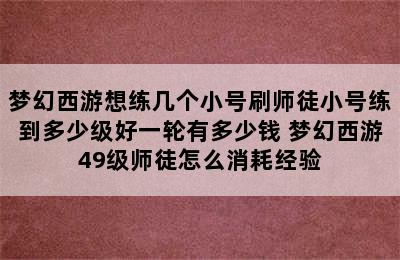 梦幻西游想练几个小号刷师徒小号练到多少级好一轮有多少钱 梦幻西游49级师徒怎么消耗经验